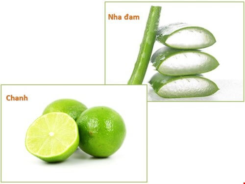 Nha đam là nguyên liệu làm mờ sẹo rất thông dụng