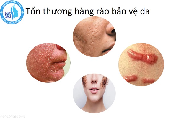 Các hoạt chất trong chăm sóc và phục hồi da