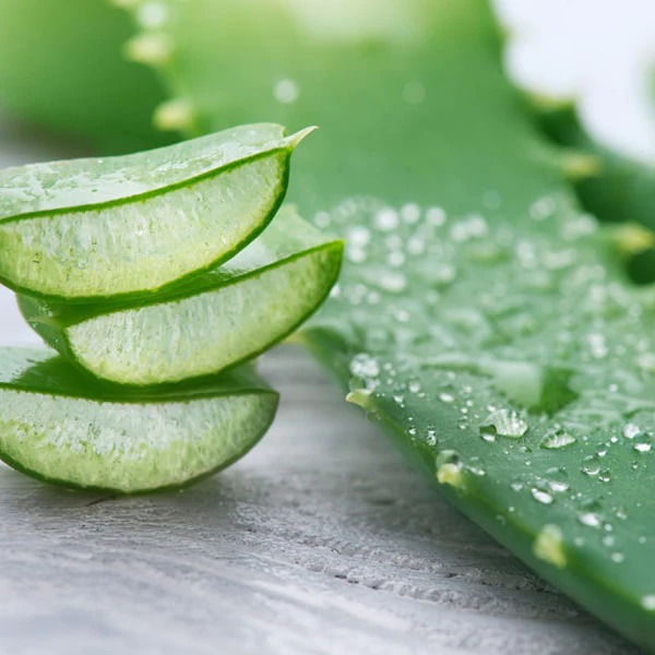 Một số các thành phần giúp hỗ trợ trong quá trình lành thương