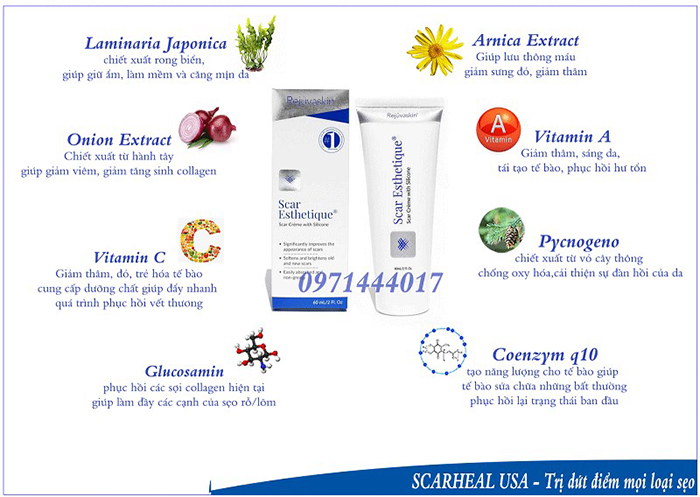 Thành phần của kem làm mờ sẹo Scar Esthetique