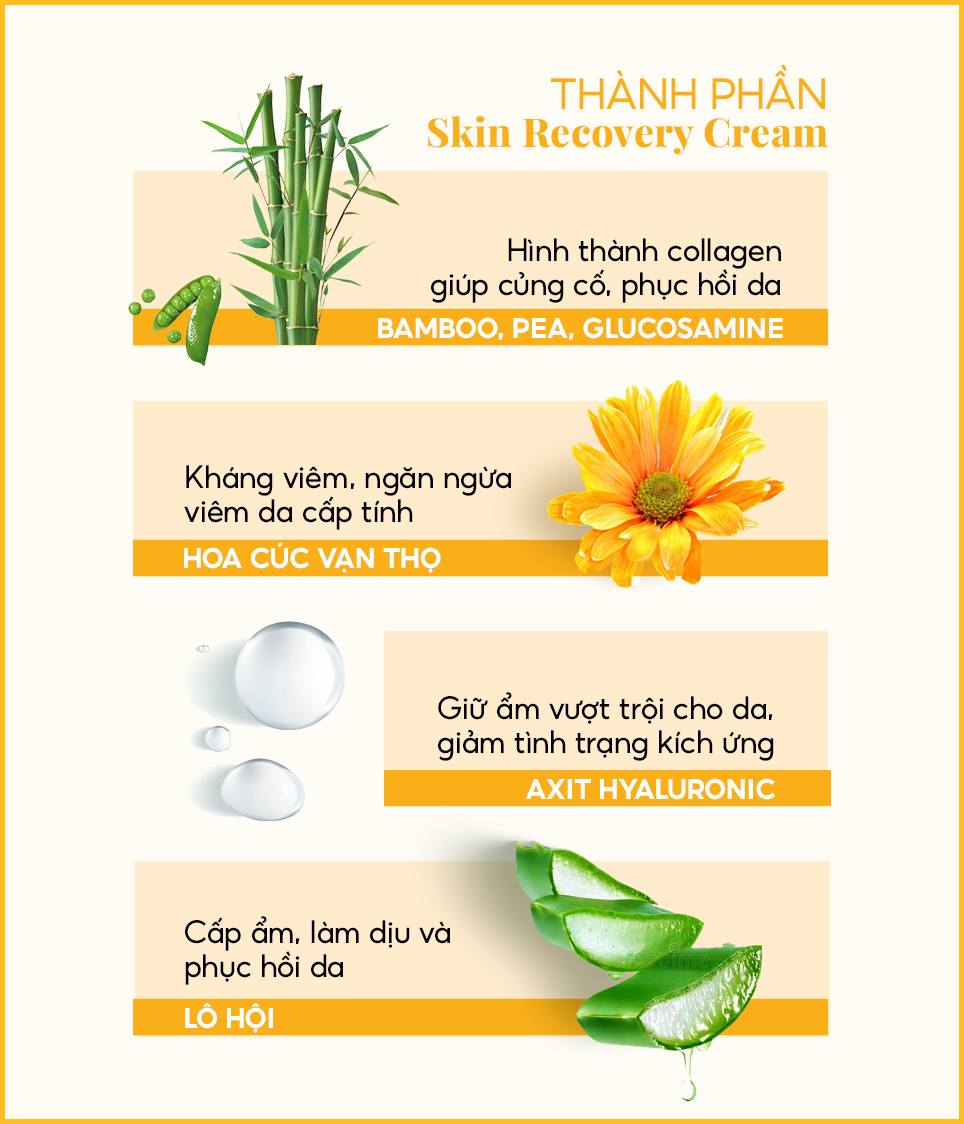 thành phần Kem dưỡng ẩm và phục hồi Skin Recovery