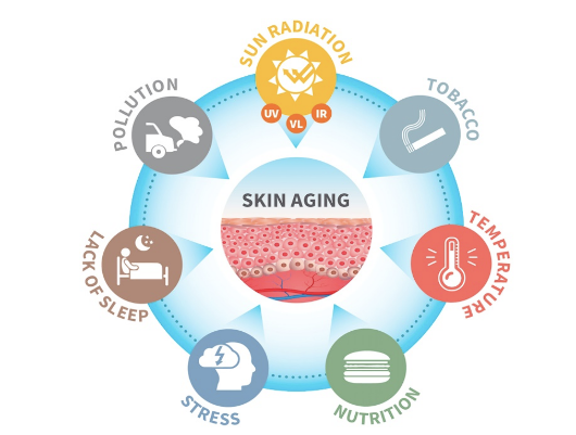 Nguyên nhân khiến da bị lão hóa