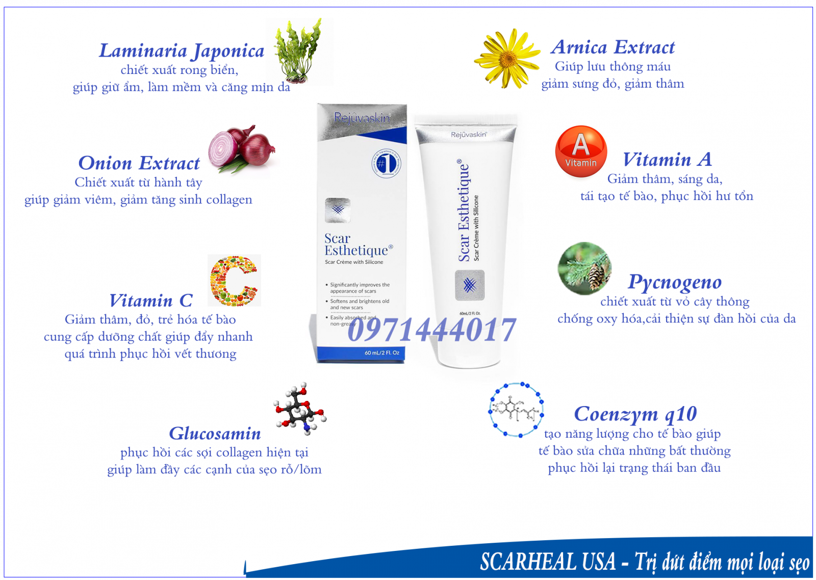 Thành phần của kem làm mờ sẹo lõm Scar Esthetique